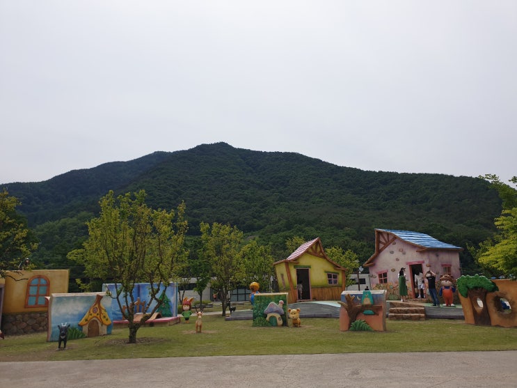  [문경 day2] 에코랄라 거미열차 자이언트포레스트 하루종일 놀아도 부족해요 (맛집 가은돈까스)