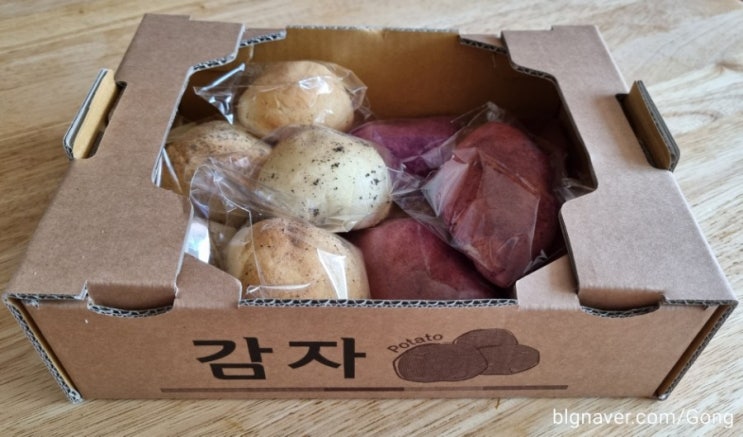  이제서야 먹어 본 감자빵 고구마빵