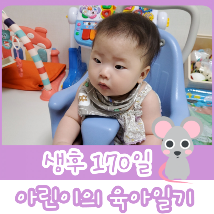  170일차 - 아기와 가기 좋은 계곡 여주 주어리 계곡 / 문바위 계곡