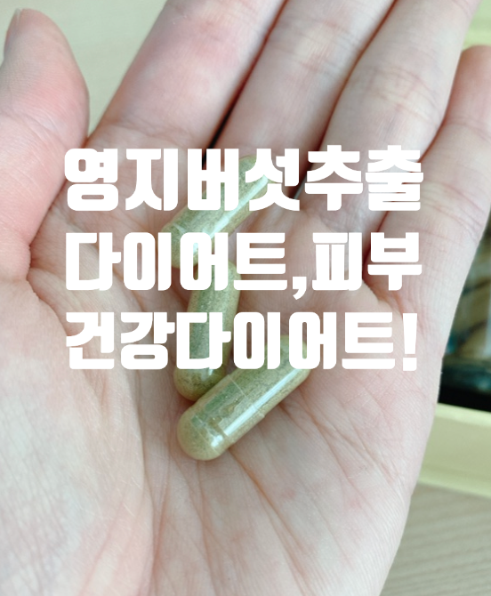  다이어트 보조제 추천 베트남 뎁캡슐 단기 2주 다이어트 건강하게 해보기 ! 속 편안하게
