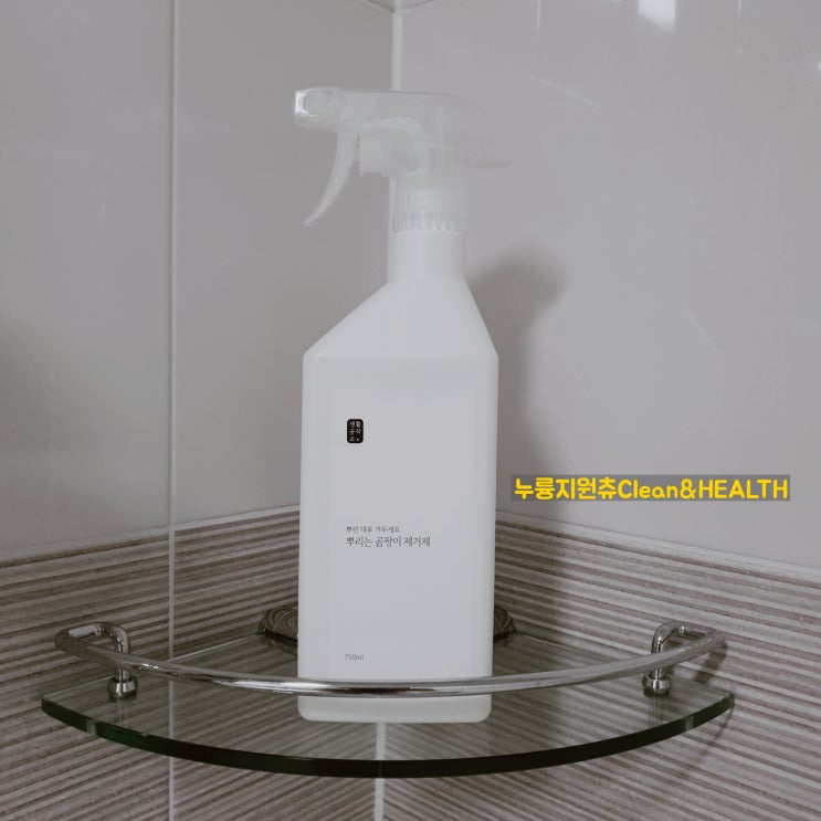  [내돈내산]장마철 벽 곰팡이제거제 '생활공작소 뿌리는 곰팡이 제거제'