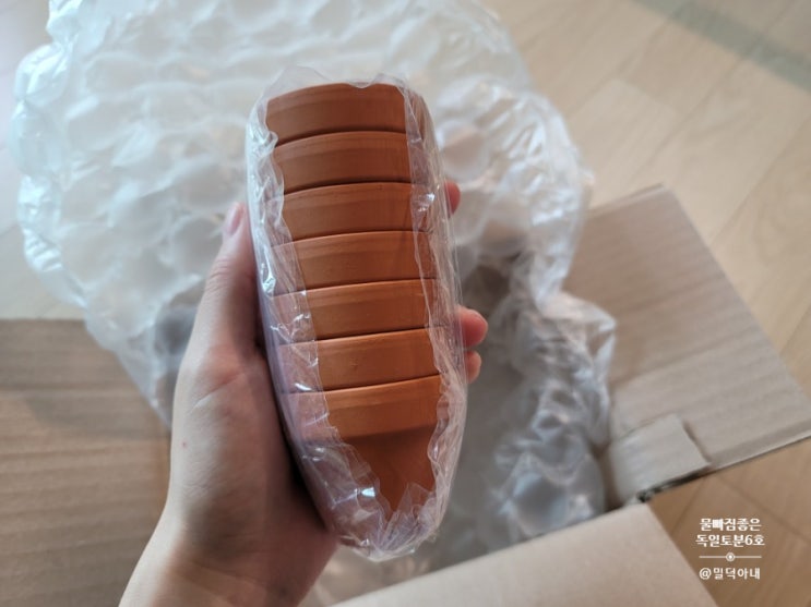  물빠짐이 빠른 독일 토분(6호)으로 다육이 분갈이 했어요