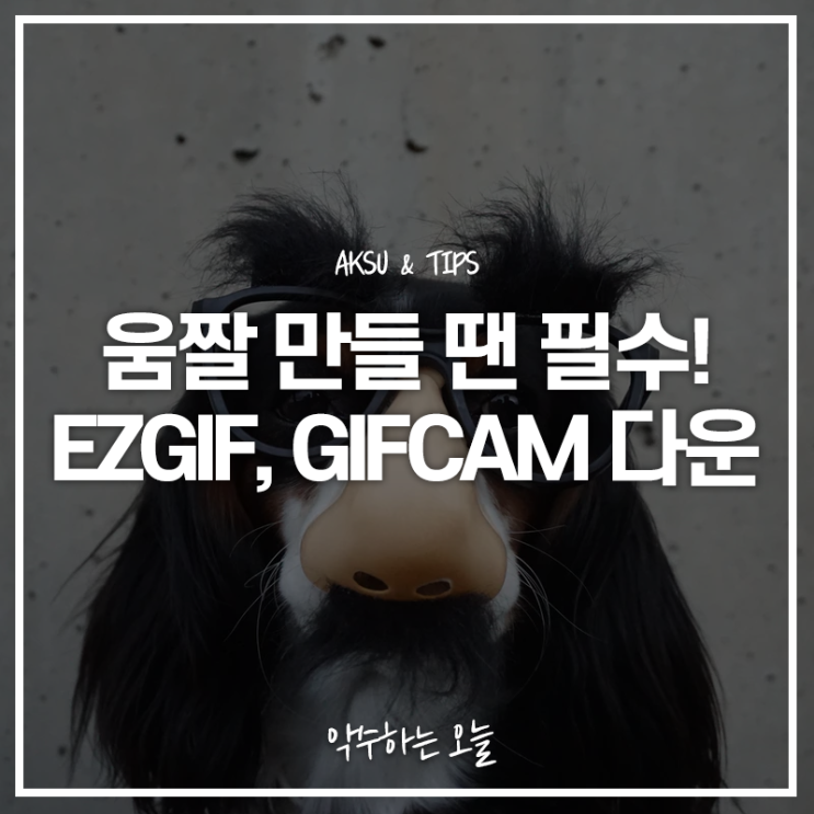  ezgif와 gifcam으로 gif 움짤 쉽게 만들기 및 다운하는 법