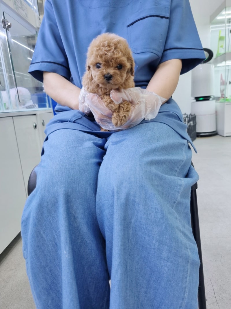 코코젬젬 (@coco_gemgem) • Instagram photos and videos, image size:800x1067