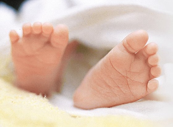 다자녀 연금보험 3년 만에 중단…다둥이 엄마 울린 보은군 다자녀 연금보험 3년 만에 중단…다둥이 엄마 울린 보은군