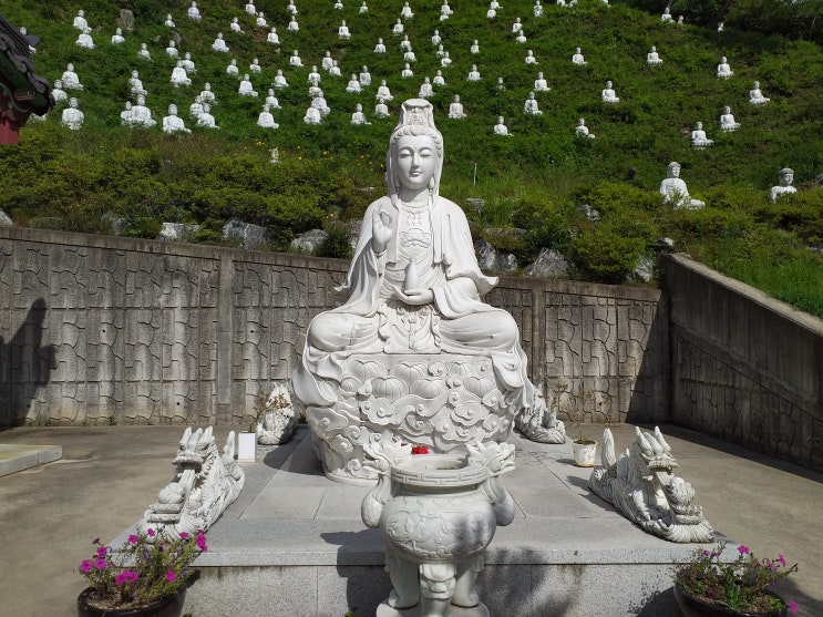  사경(寫經)의 명소인 천안의 거대한 사찰. 구룡사(九龍寺)