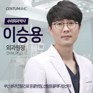  CentumAMC '이승용' 외과원장 (수의외과학 박사)