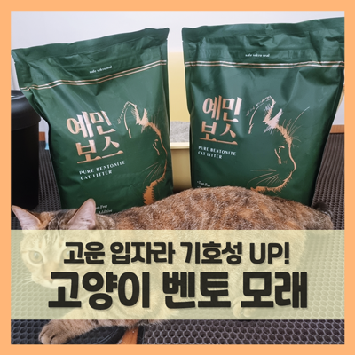  고양이 벤토나이트 모래 예민보스, 고운 입자에 냥만족!