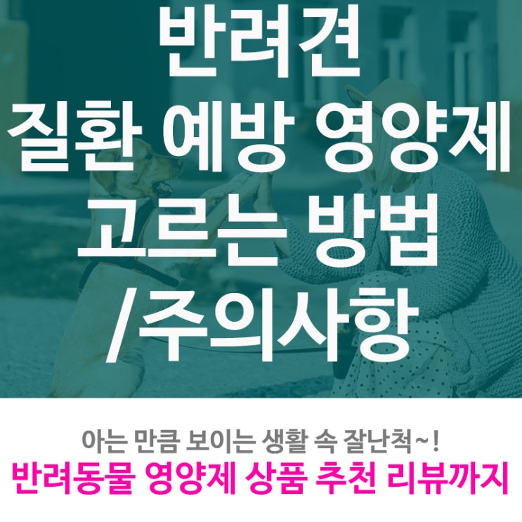  반려견 질환 예방 영양제 고르는 방법 및 주의사항