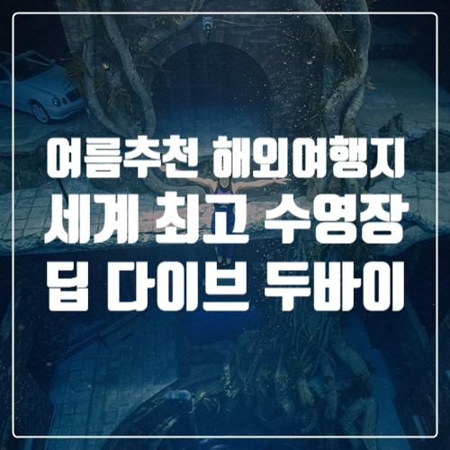  여름휴가 추천 해외여행지, 7월 말부터 이용가능한 세계 최고의 두바이 수영장
