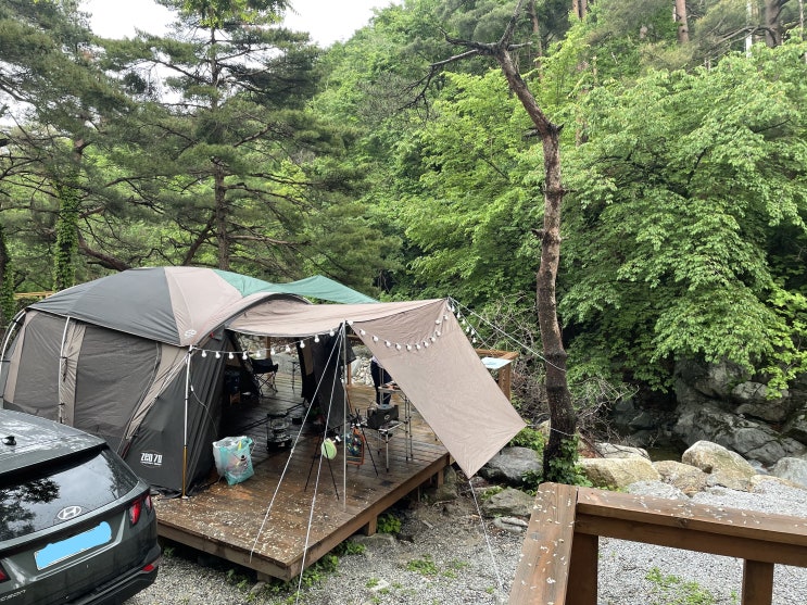  대관령솔내음캠핑장에서 추억과 숙취를 얻고 오다.