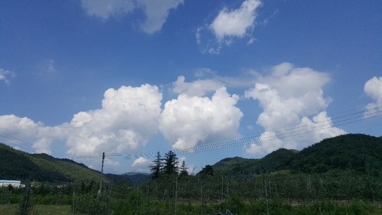  솜사탕 같은 구름