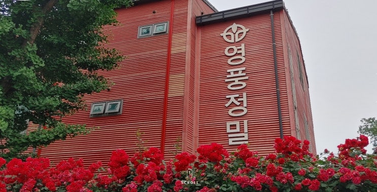 영풍정밀 급등, 최재형 관련주에 '이 회사'까지 엮여있다 영풍정밀 급등, 최재형 관련주에 '이 회사'까지 엮여있다