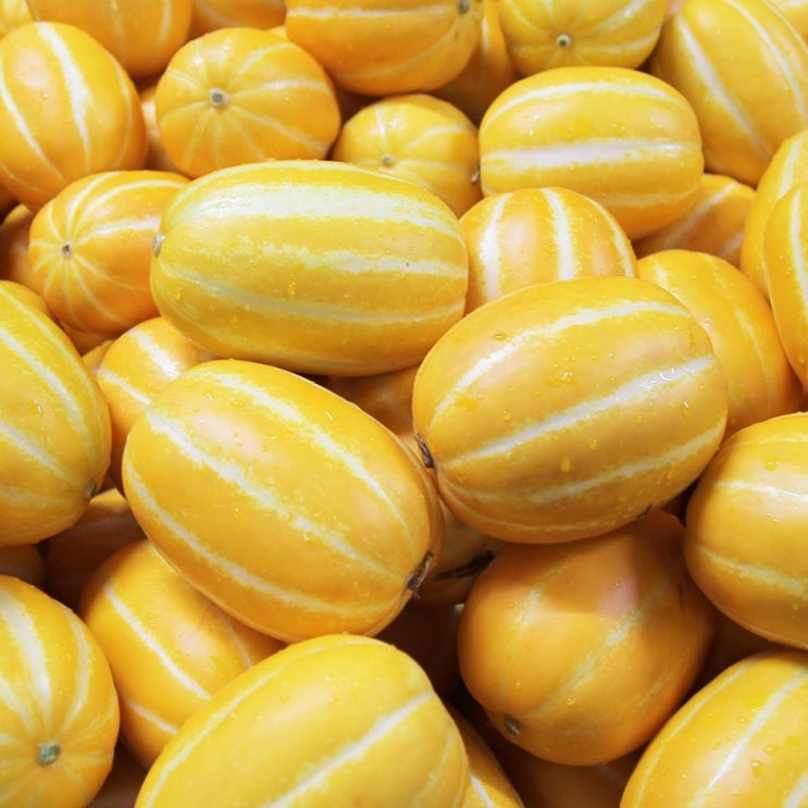 당신만 모르는 꿀참외 5kg 성주참외 꼬마 선물용 미라클 일상한조각, 02 꼬마 5kg 좋아요 당신만 모르는 꿀참외 5kg 성주참외 꼬마 선물용 미라클 일상한조각, 02 꼬마 5kg 좋아요