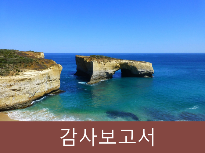  감사보고서 등에 대한 조사·감리결과 조치!!