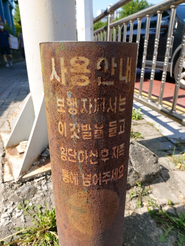  초등학교 앞 보행신호