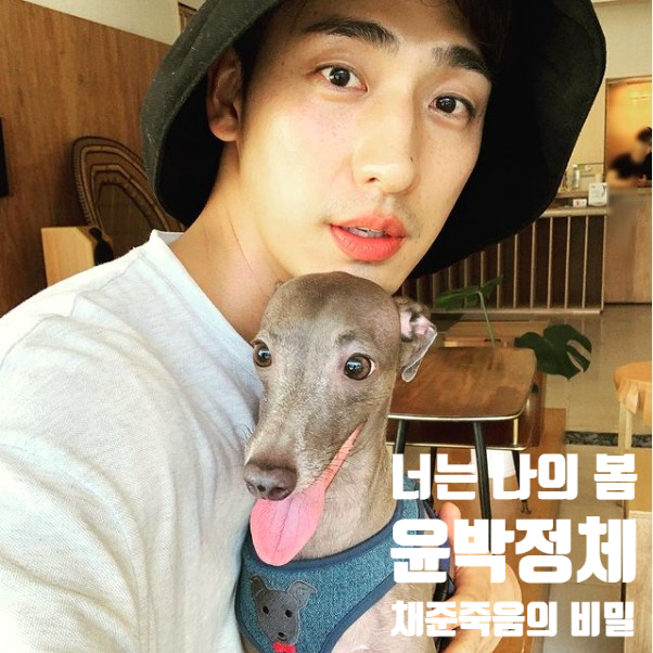 너는 나의 봄 윤박 정체 최정민 소시오패스 진짜범인 채준 죽음 너는 나의 봄 윤박 정체 최정민 소시오패스 진짜범인 채준 죽음