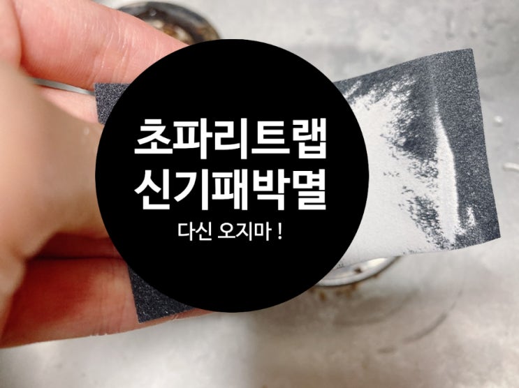  초파리트랩 만들기 신기패 초파리 모기 바퀴벌레 해충 가성비 퇴치 해결 ! 강아지 고양이 아기 유의