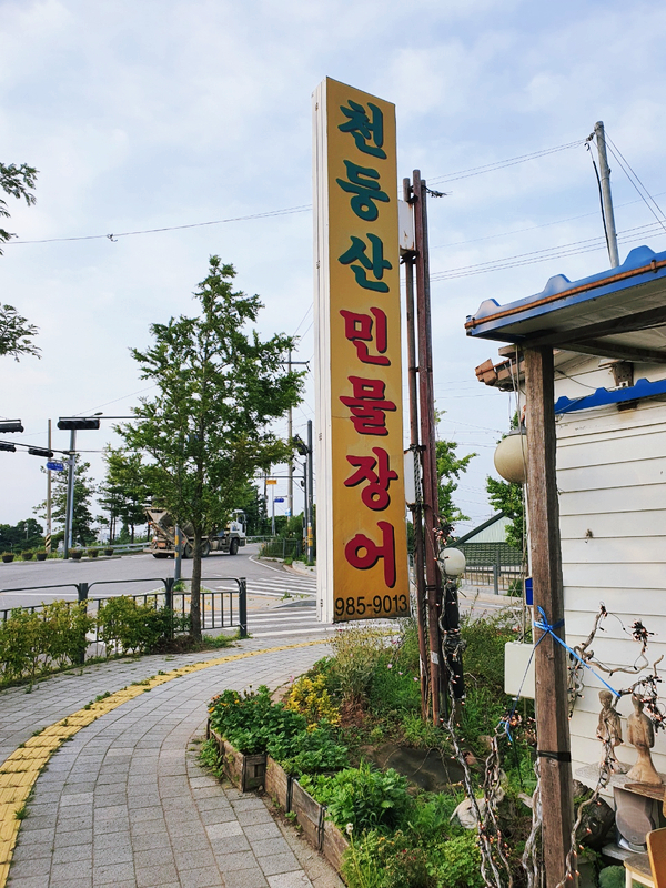  김포 장어 맛집 고촌 천둥산 민물장어