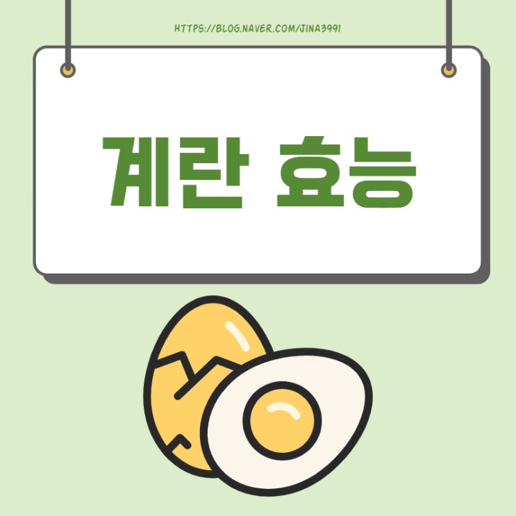  삶은계란 효능 알고 계세요?