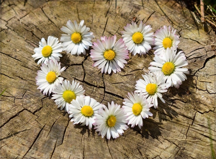  예쁜 순우리말 단어 뜻까지 알아보기