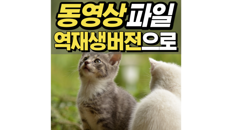 동영상 역재생으로 거꾸로 보자! 동영상 역재생으로 거꾸로 보자!