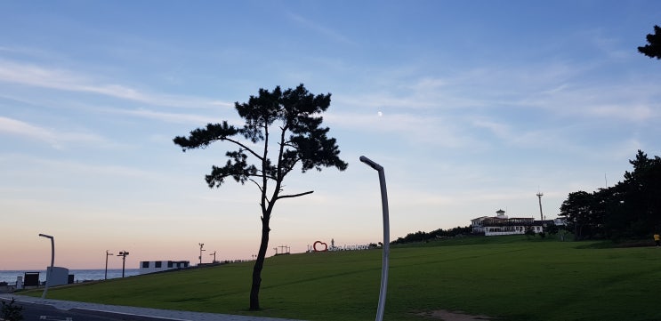  [블로그씨]_혼자서도 잘해요
