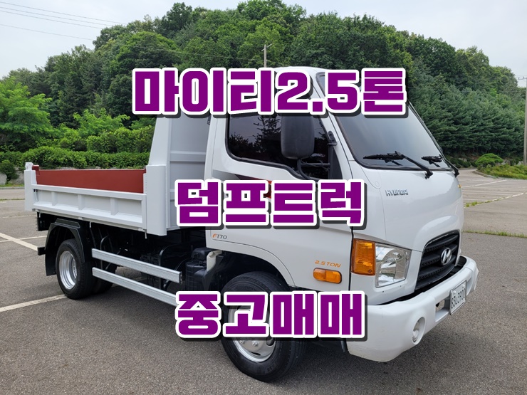  마이티 2.5톤 덤프 저상 구조변경 덤프트럭 매매