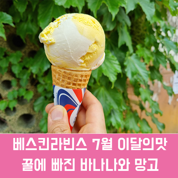  베스킨라빈스 7월 이달의 맛, 꿀바망 후기, 가격, 칼로리