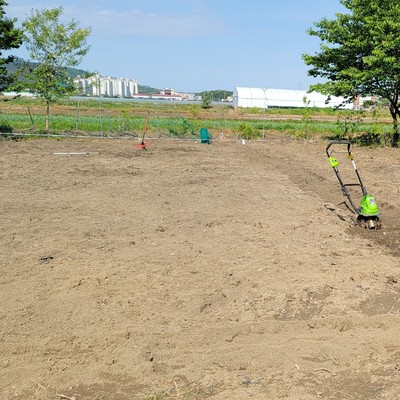  2021년 5월 12일 텃밭꾸미기 6일 날