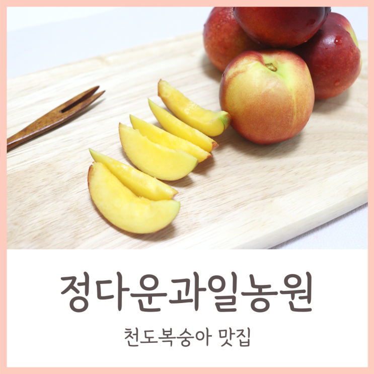  정다운과일농원에는 신선과일 많아요! 맛있는과일 천도복숭아 후기