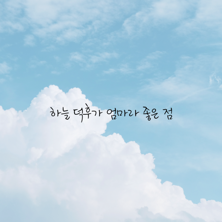  [초3 엄마의 육아일기] 아이는 부모의 거울이다.