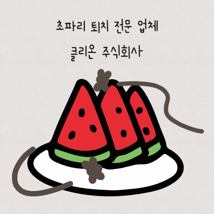  초파리, 날파리 생기는 이유(원인, 퇴치)
