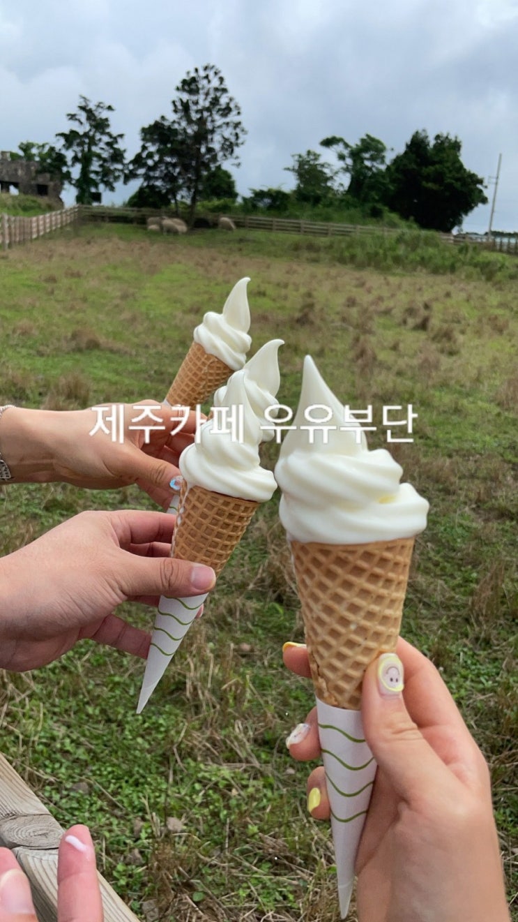  제주도 카페 우유부단 아이스크림 맛집 ! 옆 성이시돌 목장까지