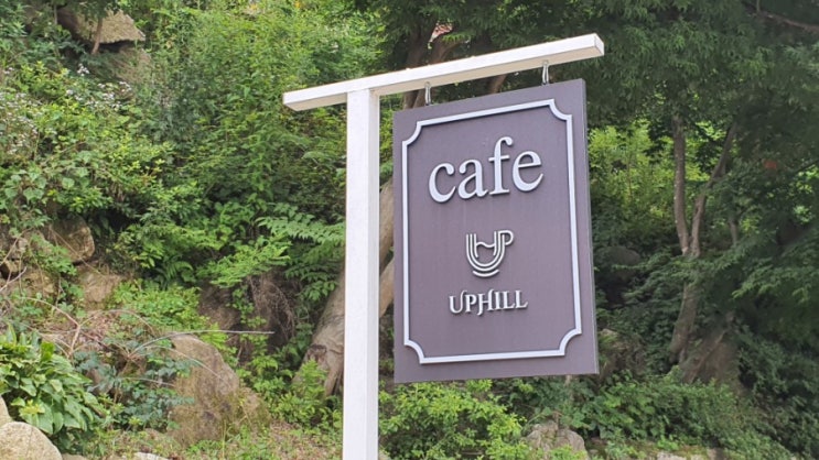 환상의 드라이브코스에서 만난           카페 UPHLL