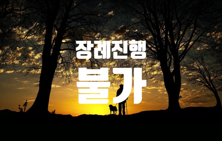  사망진단서, 시체검안서의 차이점