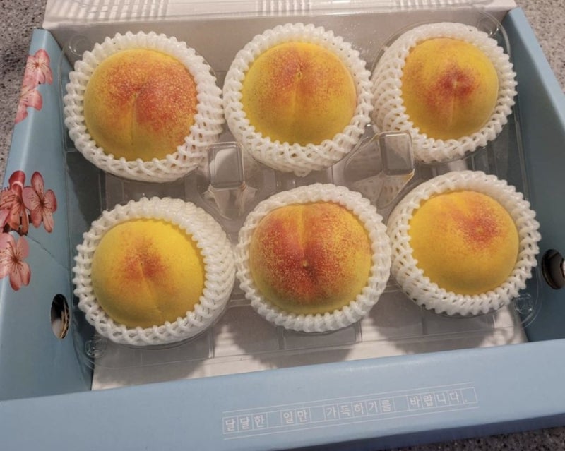 이미지 7719195