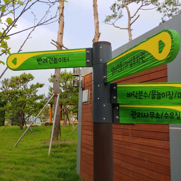  김포애견운동장, 무료야외놀이터. 날씨좋아~친구찾아 삼만리.