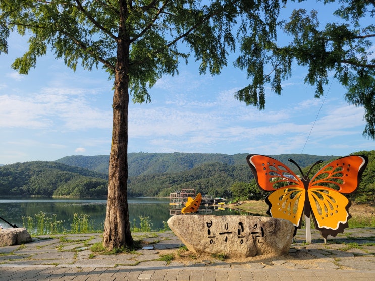  대구 가볼 만한 곳, 산책하기 좋은 봉무공원 힐링 명소