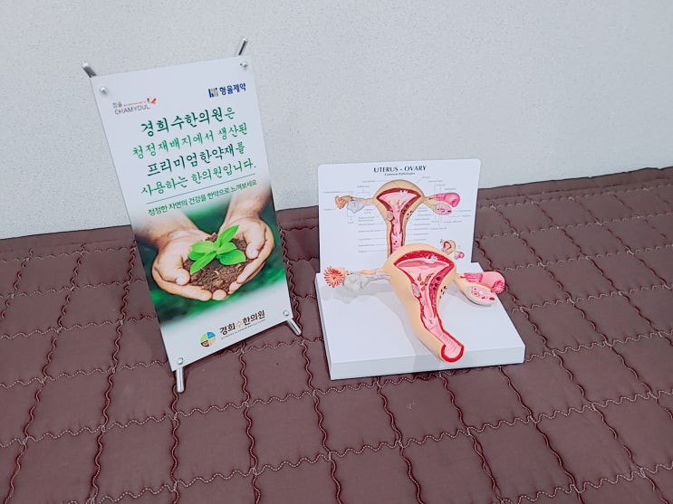 수원 월경통 한의원, 자궁내막증을 의심해 보세요 수원 월경통 한의원, 자궁내막증을 의심해 보세요