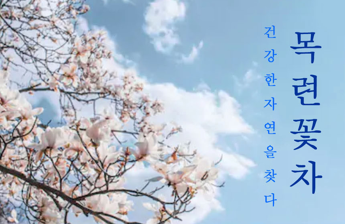  꽃차로 건강을 챙겨보세요~