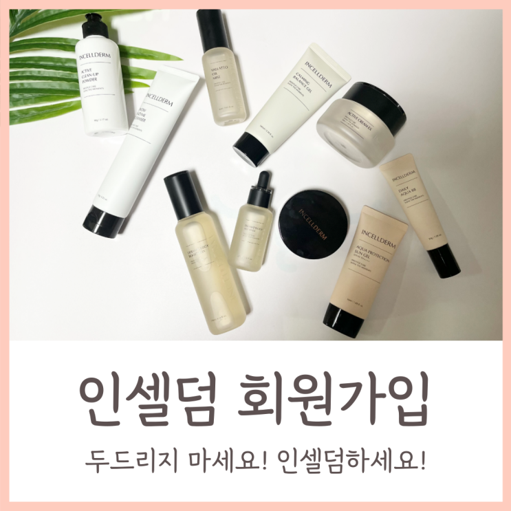  인셀덤 회원가입 궁금했다면?