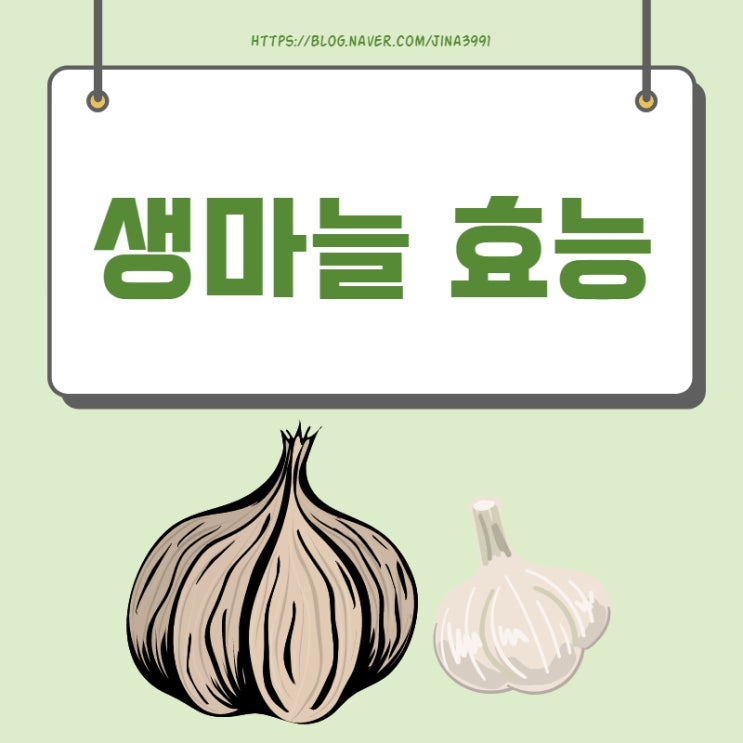  생마늘 효능 알려드려요.