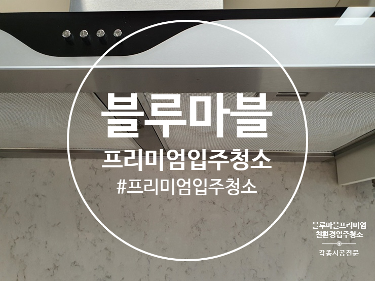  흑석동 입주청소 롯데캐슬 프리미엄 입주청소
