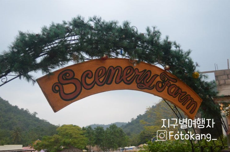  #19. 방콕 근교 랏차부리로 1박 2일 여행가는 교환학생의 일상 [쑤언픙 씨너리 팜, 양떼목장]
