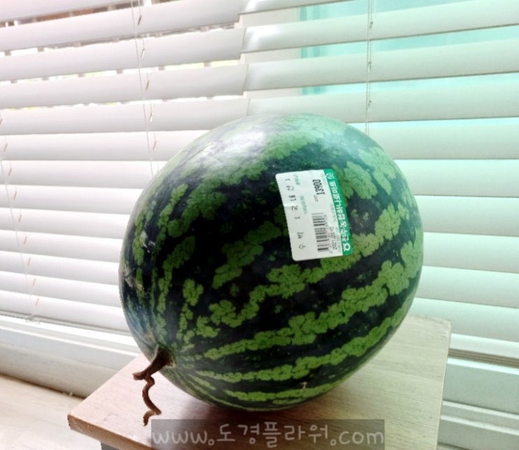  수박 고르는 법 실패 없이 맛있는 수박 구입하는 팁:)
