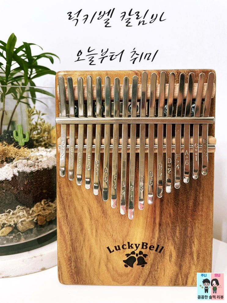  칼림바연주! 어른도 아이도 재밌는 악기 연주 취미 생활~