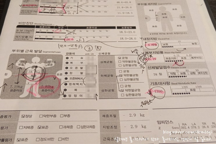  평촌역 헬스장 MN휘트니스 범계점 - 자꾸 튼튼해지는 우리 은영이