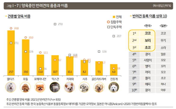  2021년 한국 반려동물보고서 리뷰#2
