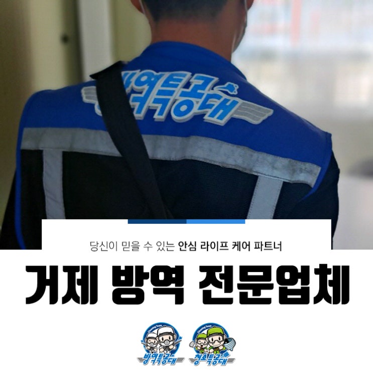  업체 사무실 거제 방역후기